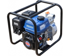Мотопомпа бензиновая TSS PGS 50, 600 л/мин, 30 м
